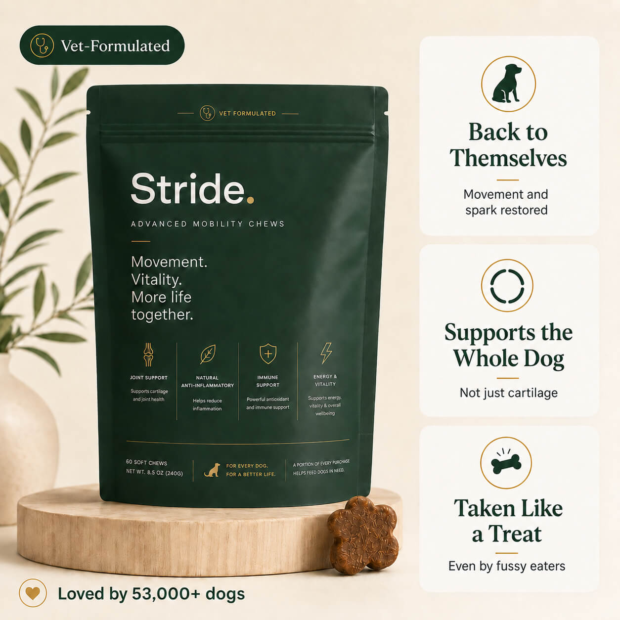 Whole-body mobility chews for aging dogs