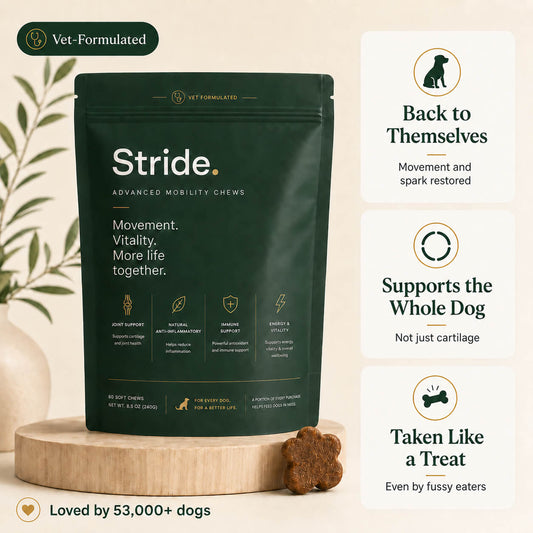 Whole-body mobility chews for aging dogs