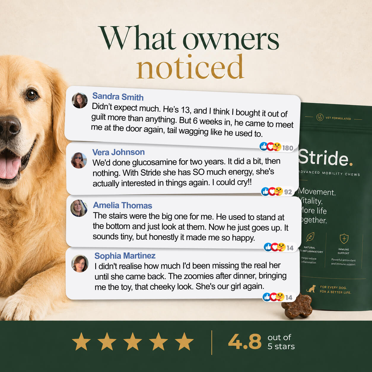 Whole-body mobility chews for aging dogs