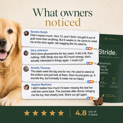 Whole-body mobility chews for aging dogs