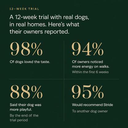 Whole-body mobility chews for aging dogs