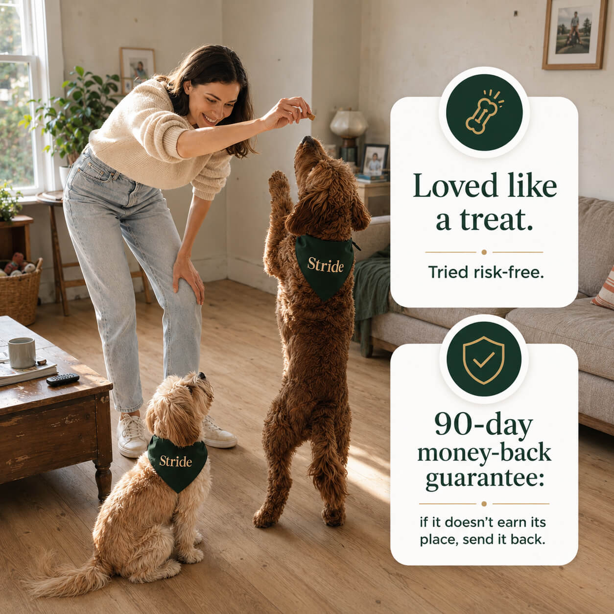 Whole-body mobility chews for aging dogs